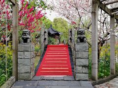 -南汇桃花村