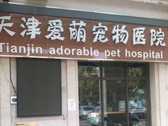 -美联众合宠物医院·爱萌分院·内外科·猫科中心