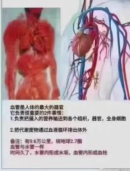 -香薇妮丝·定制减肥·身材管理