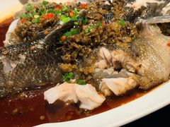 -宁波柏悦酒店·钱湖渔港