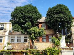 -柴油机1959创意园(IF1959文创园)