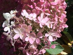 -中国建设银行哈尔滨培训中心