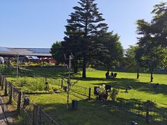 -轻井泽王子购物广场