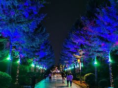 -长春市南湖公园