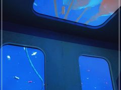 -珠海横琴国家地理探险家中心(创新方)