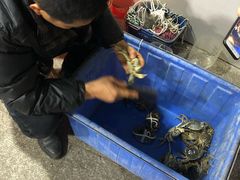 -喜洋洋蟹庄(阳澄湖店)