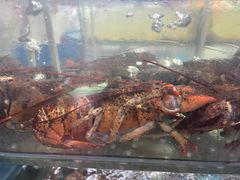 -兄弟爬爬虾(北京路店)