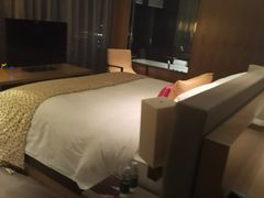 -深圳皇庭V酒店