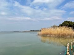-东方绿舟景区