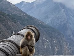 -白帝城·瞿塘峡景区