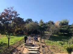 -北京西山国家森林公园