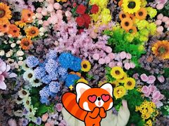 -万达广场(龙湖店)