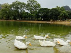 -Club Med地中海俱乐部·桂林度假村