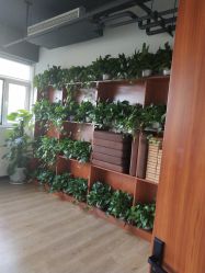 -兰瑜伽·普拉提