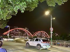 -丹水桥地锅鱼·翘嘴鲌·地方特色全鱼宴(丹江口大坝店)