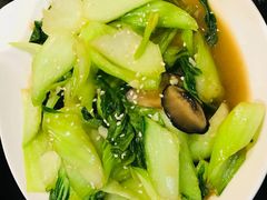 -熊猫川菜馆 panda chine