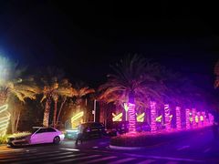 -三亚海昌梦幻海洋不夜城