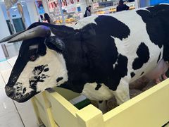 -红星前进面包牛奶公司(君太店)