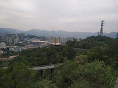 -金鸡山公园