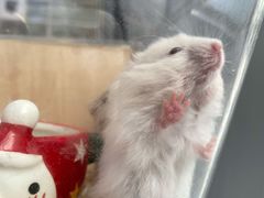 -萌兽医馆·眼科·异宠专科(三里屯店)