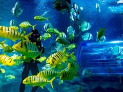 -太平洋海底世界