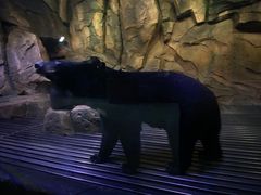 -哈尔滨波塞冬海底世界