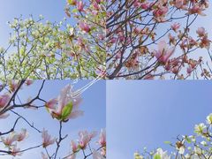 -陕西省西安植物园
