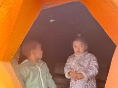 -1982农场