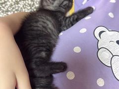 -博特宠物医院24h犬猫全科.骨科·异宠
