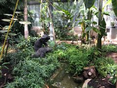 热带植物园-金头公园