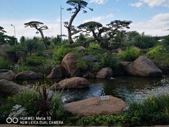 -罗红摄影艺术馆