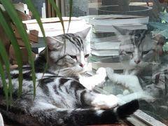 大堂-咖法森林·咖啡  酒吧(天河店)