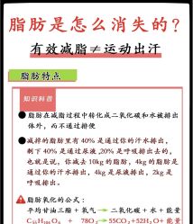 -Fundi张玉珊修身堂·indiba·BTL科技瘦身