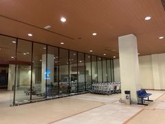 -登嘉楼机场