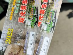 -沈阳鸟岛