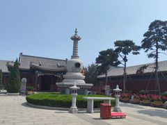 -天津大悲禅院