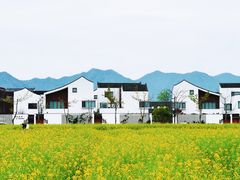 -东梓关景区村庄