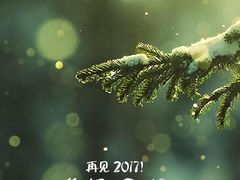 -鸟鸣门屋台料理(金帝银泰店)