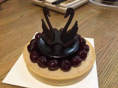 -BLACKSWAN黑天鹅(环球店)