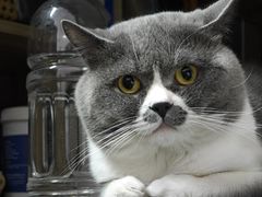 -不作·手工银饰DIY(西红门店)