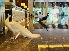 -西双版纳融创皇冠假日度假酒店