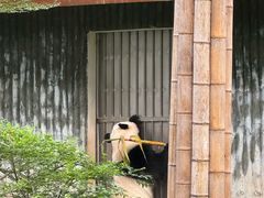 -广州动物园
