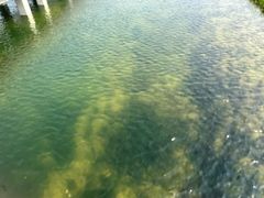 -滆湖低碳生态公园