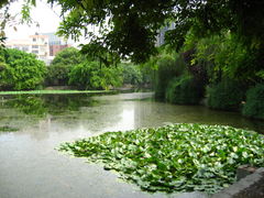 -西南交通大学(九里校区)