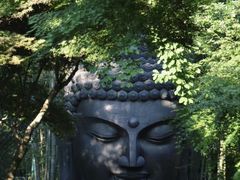 -杭州植物园