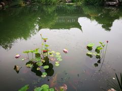 -苏城小院·园林精致苏州菜(斜塘老街店)