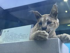 -国家自然博物馆