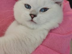 -北丐先生·野馄饨烧烤(长宁龙之梦店)