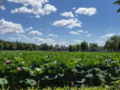 -长春市南湖公园