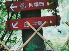 -鹅湖玫瑰文化园